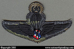 Training Insignia: Police Parachute Patch First Class (Subdued)