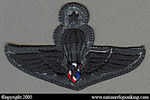 Training Insignia: Police Parachute Patch Second Class (Subdued)
