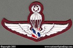 Training Insignia: Police Parachute Patch First Class